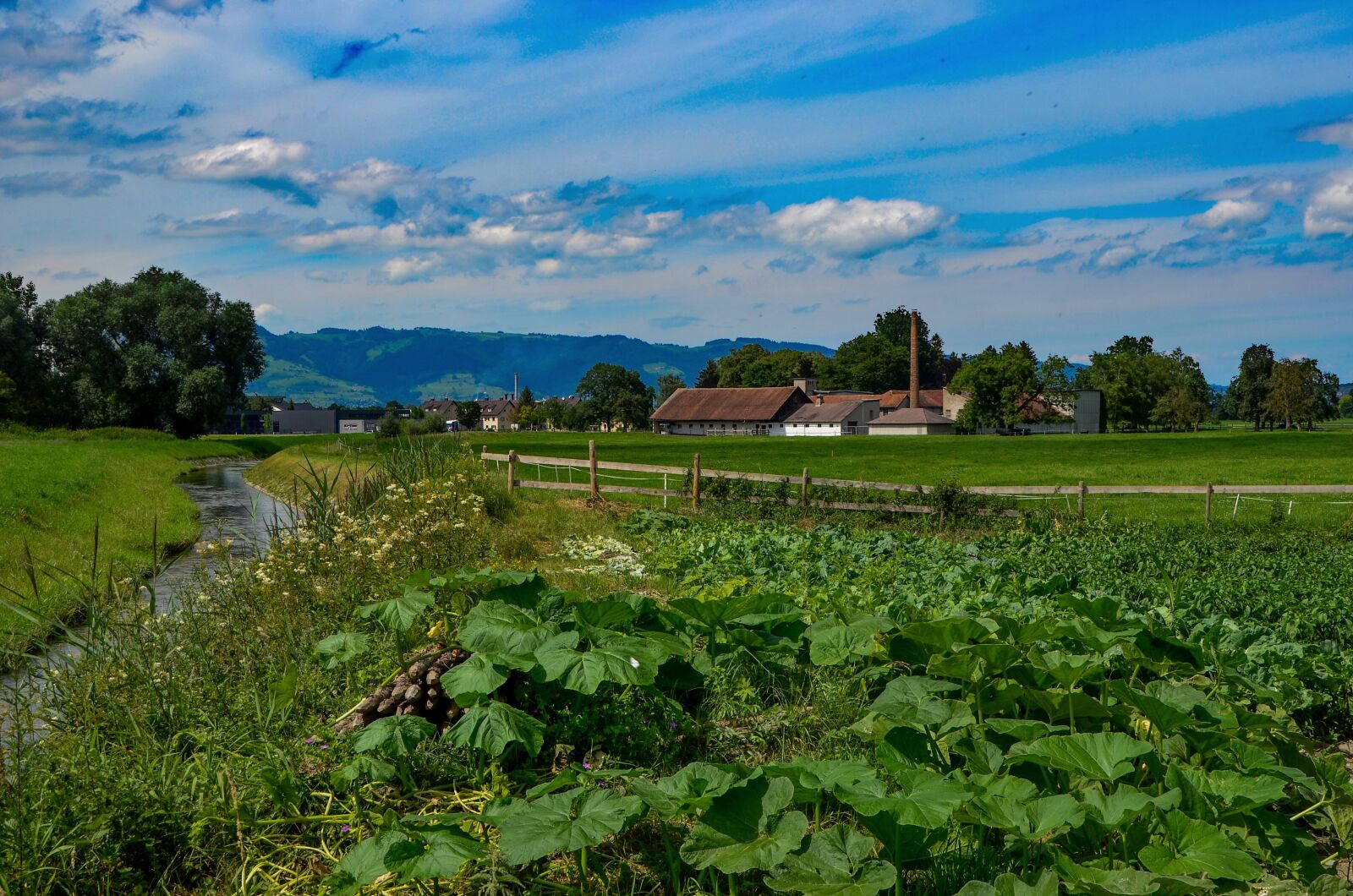 Nikon D7000 sample photo. Meadow, bach, landscape photography