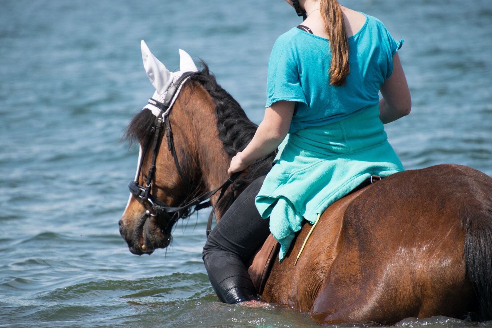 Nikon D3300 sample photo. Horse, swim, water photography