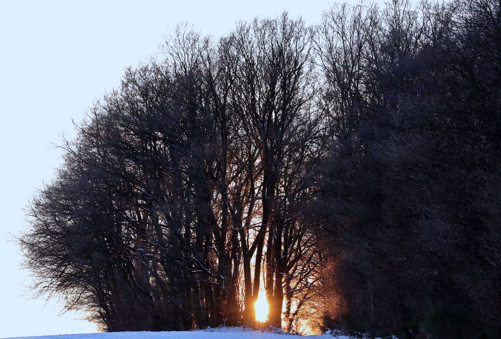 Canon EOS 80D sample photo. Winter, evening sun, snow photography