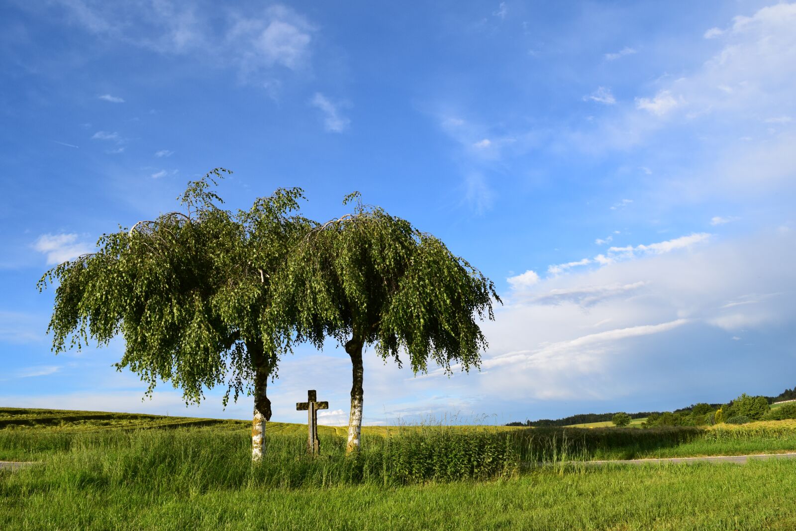 Nikon D3300 sample photo. Field cross, landscape, sky photography