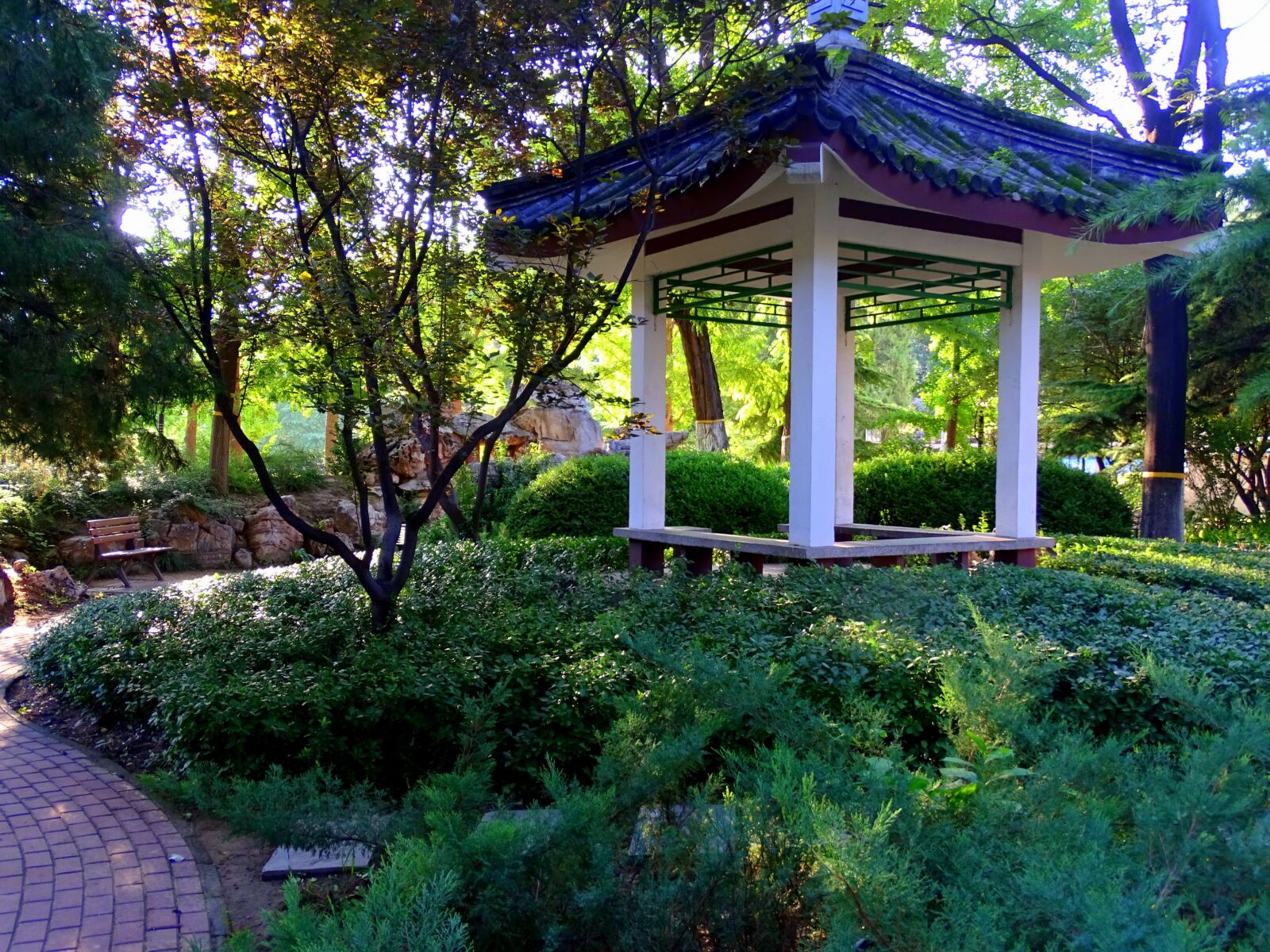 Sony Cyber-shot DSC-HX400V sample photo. Park, summer, garden photography