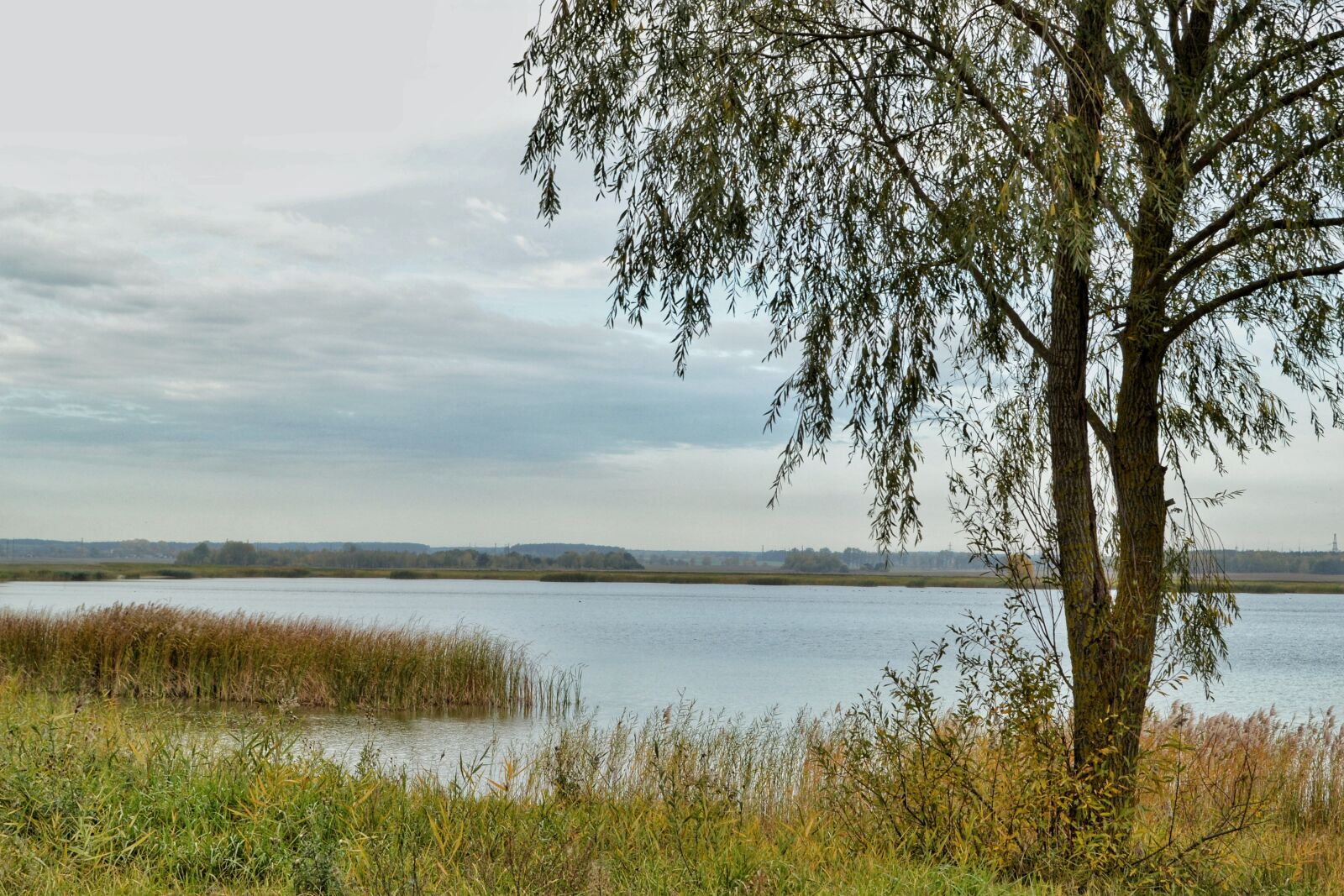 Nikon D3100 sample photo. River, lake, reservoir photography