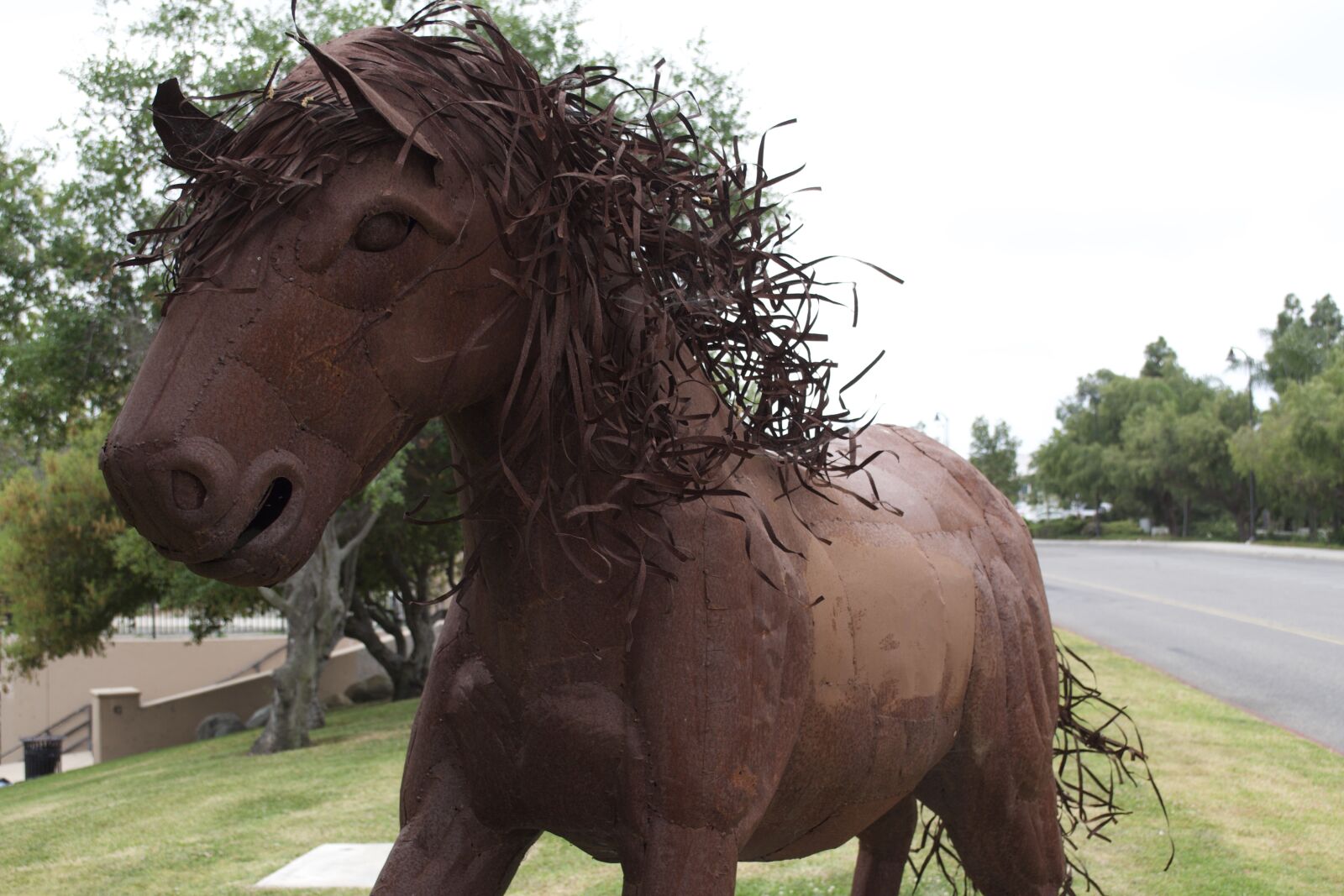 Nikon D3100 sample photo. Wild horses, sculpture, artwork photography