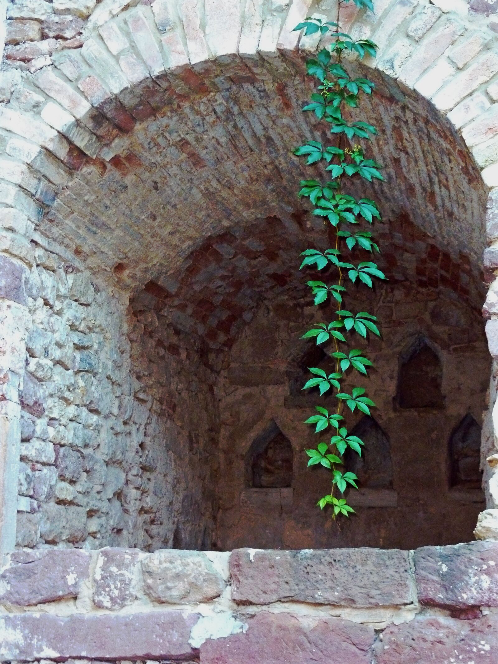 Panasonic DMC-TZ7 sample photo. Wall, masonry, stone photography