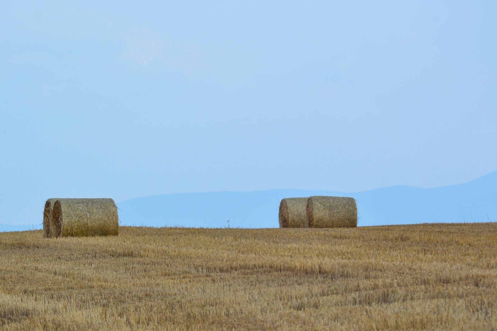 Nikon D3100 sample photo. Field, landscape, nature photography