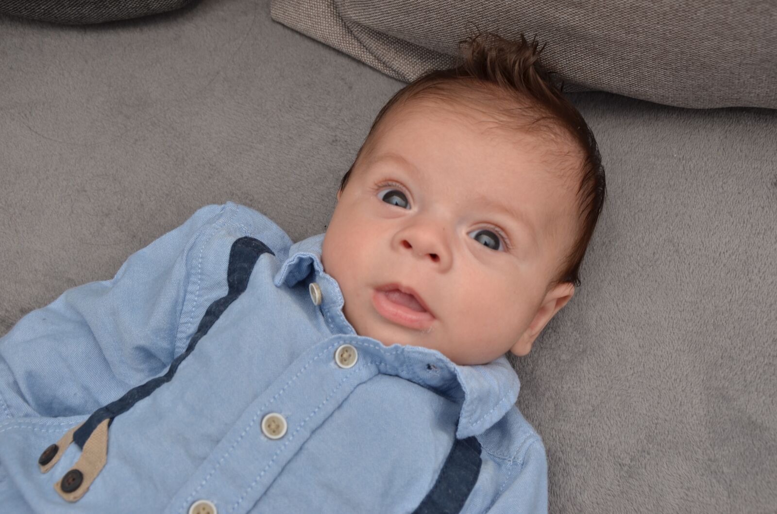 Nikon D7000 sample photo