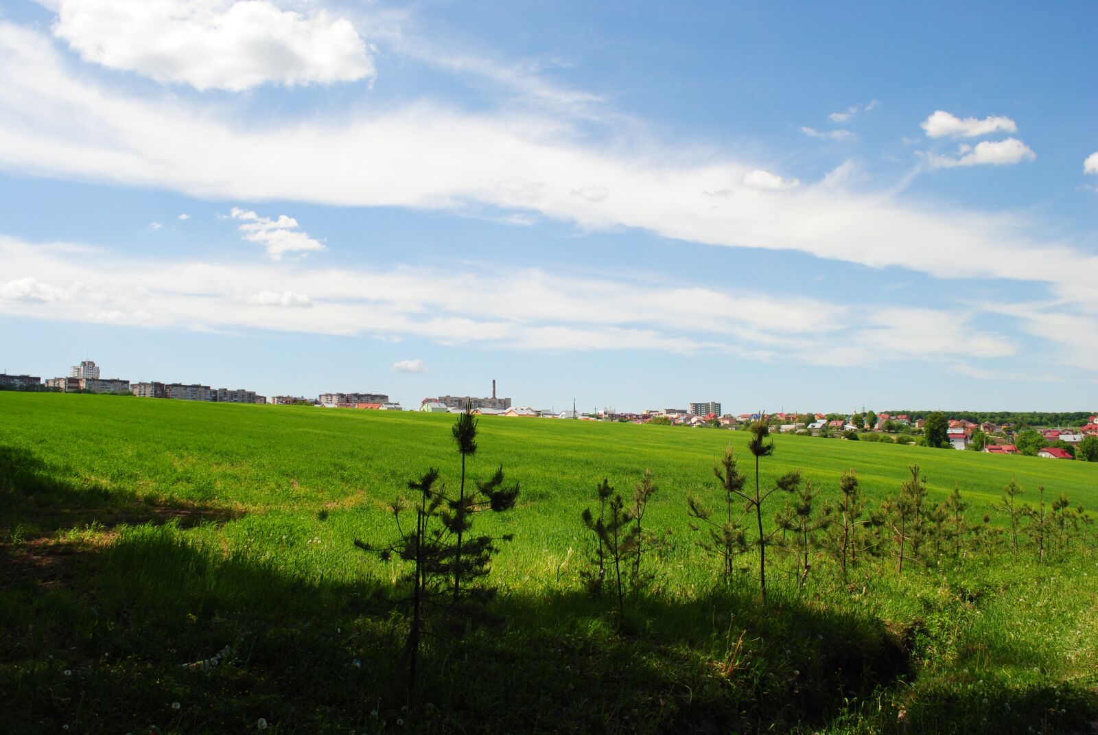 Nikon D3000 sample photo. Landscape, sky, grass photography