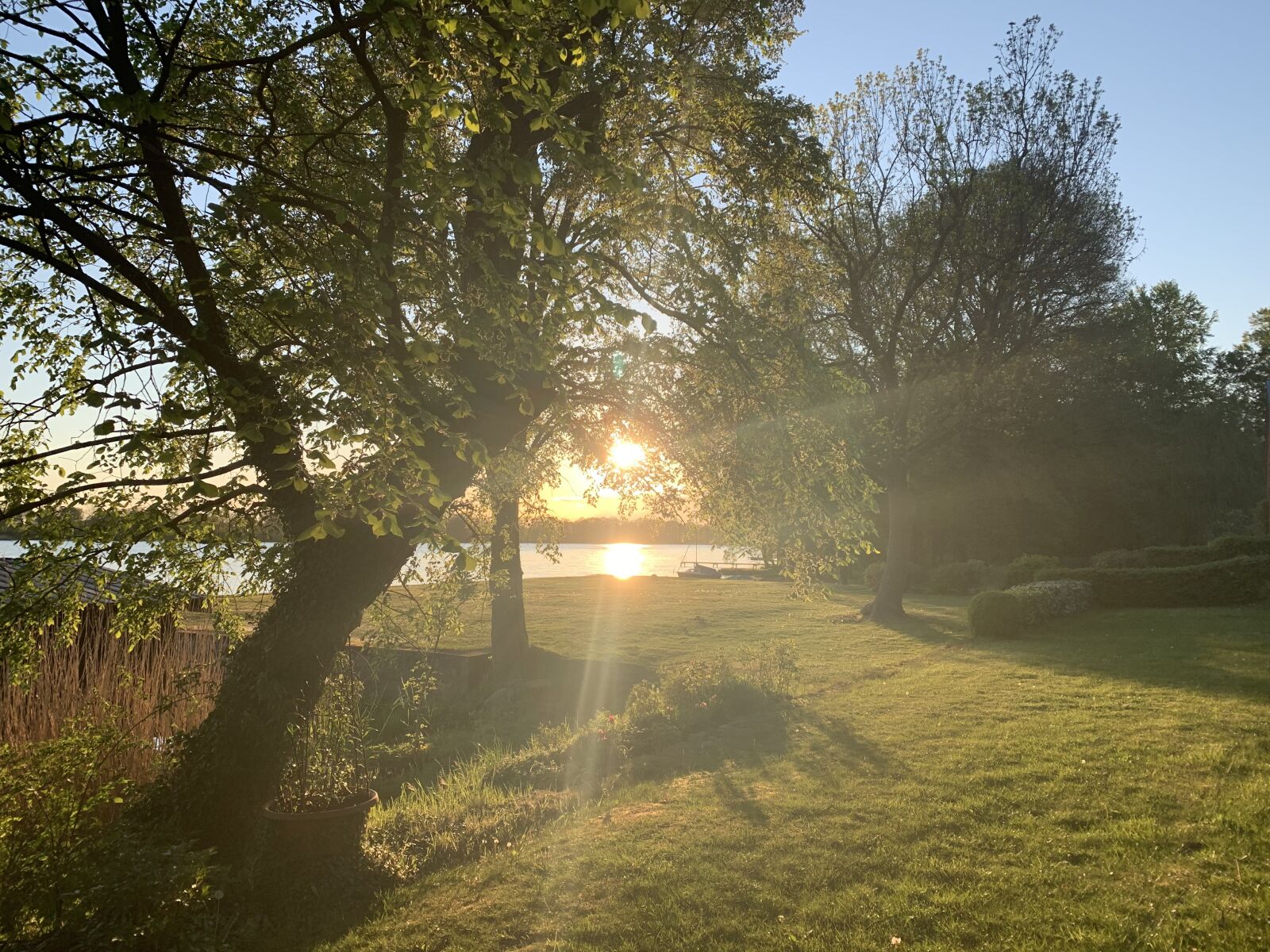 Apple iPhone XR sample photo. Trees, sunbeam, nature photography