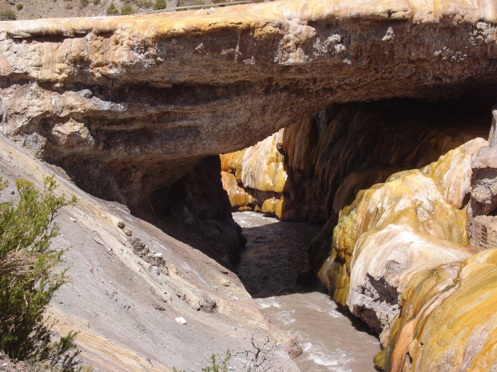 Sony DSC-W55 sample photo. Yellow, mountain, mendoza photography