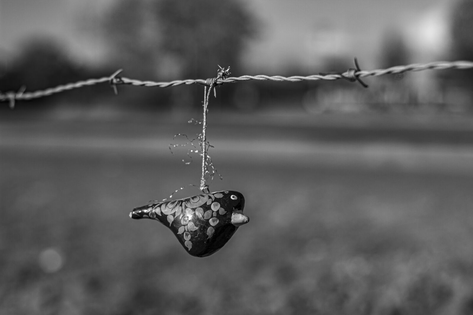 Canon EOS 550D (EOS Rebel T2i / EOS Kiss X4) sample photo. Concept, ave, toy photography