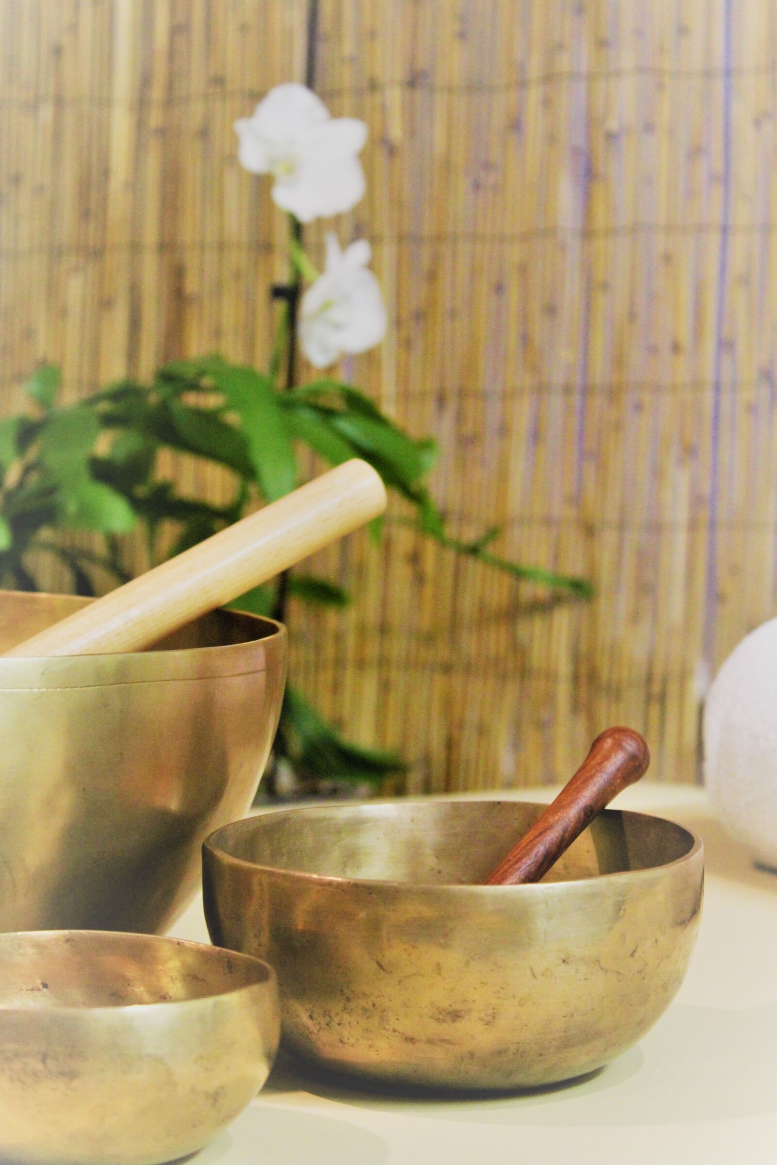 Canon EOS 1300D (EOS Rebel T6 / EOS Kiss X80) sample photo. Sound therapy, singing bowl photography