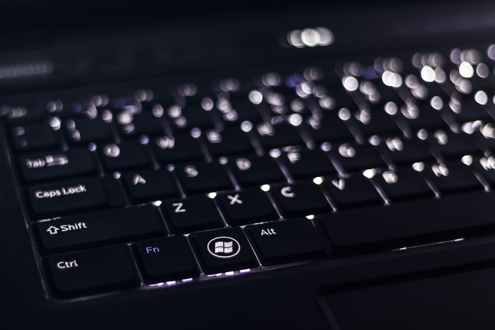 Canon EF 50mm F1.8 II sample photo. Black, blur, close, up photography