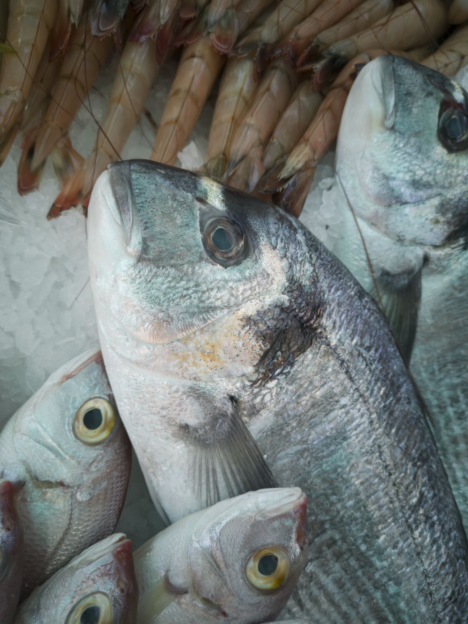 HUAWEI CLT-L09 sample photo. Fish, market, dead photography