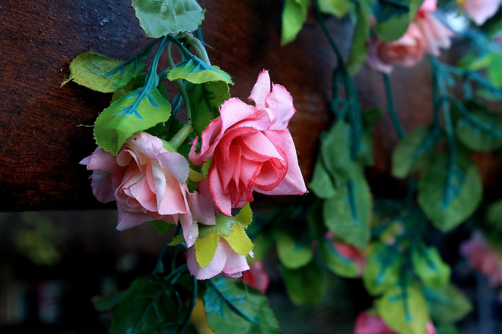 Canon EOS 1100D (EOS Rebel T3 / EOS Kiss X50) sample photo. Artificial flowers, ornamental, decoration photography