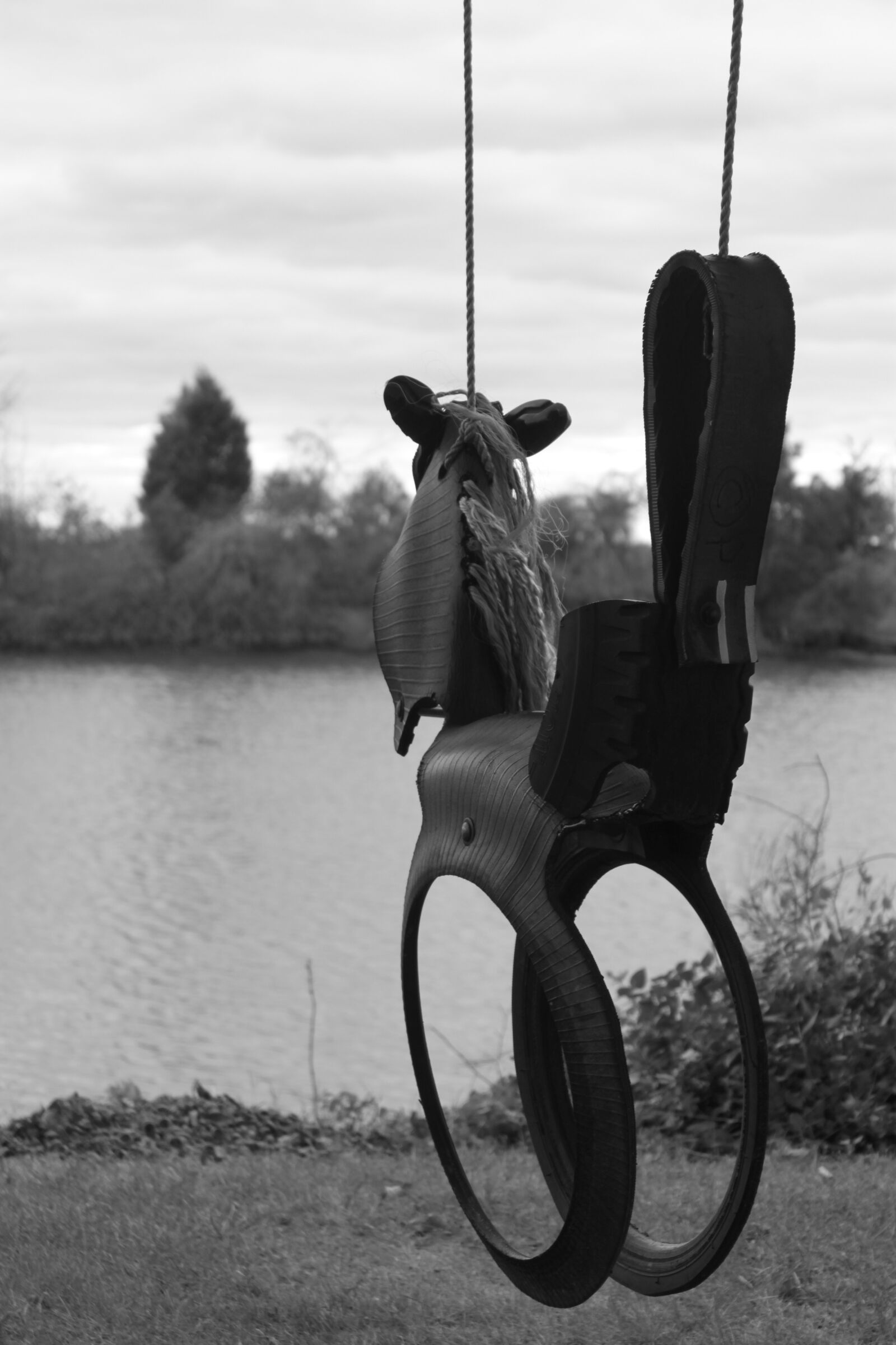 Canon EOS 500D (EOS Rebel T1i / EOS Kiss X3) sample photo. Swing, maryland, southeast photography