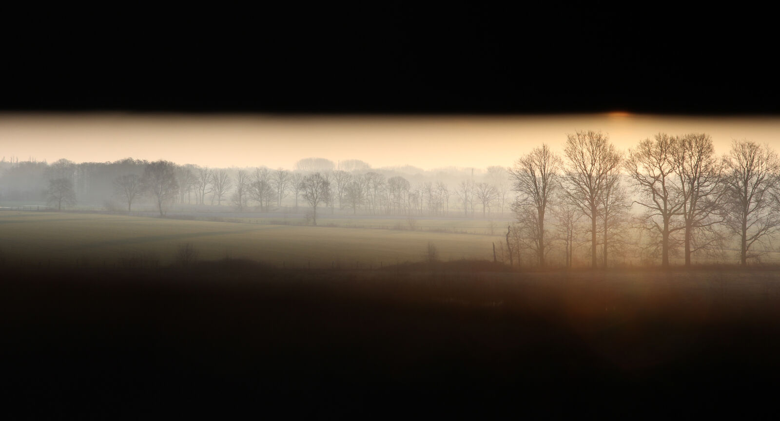 Canon EF-S 17-55mm F2.8 IS USM sample photo. Landscape, spring, sunrise, trees photography