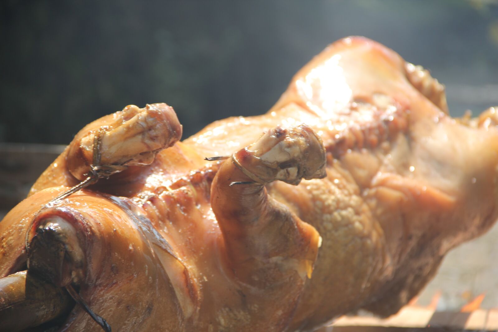 Canon EOS 550D (EOS Rebel T2i / EOS Kiss X4) sample photo. Pork, filipino food, food photography
