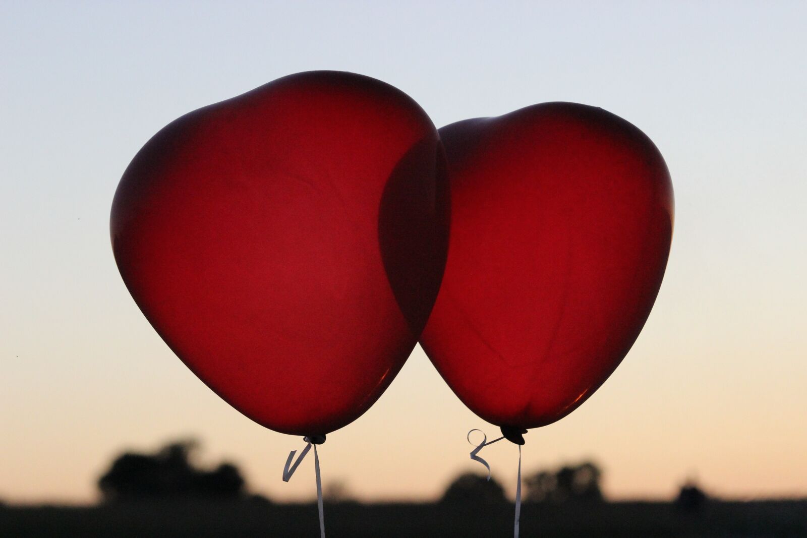 Canon EOS 600D (Rebel EOS T3i / EOS Kiss X5) sample photo. Heart, balloon, romance photography