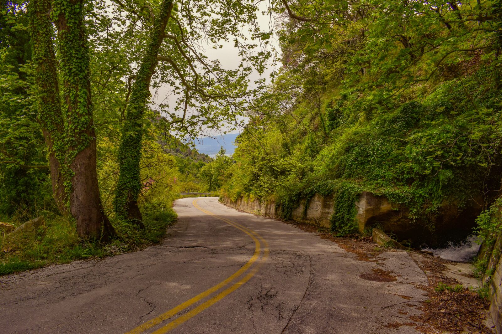 Nikon D3300 sample photo. Road, scenery, trees photography