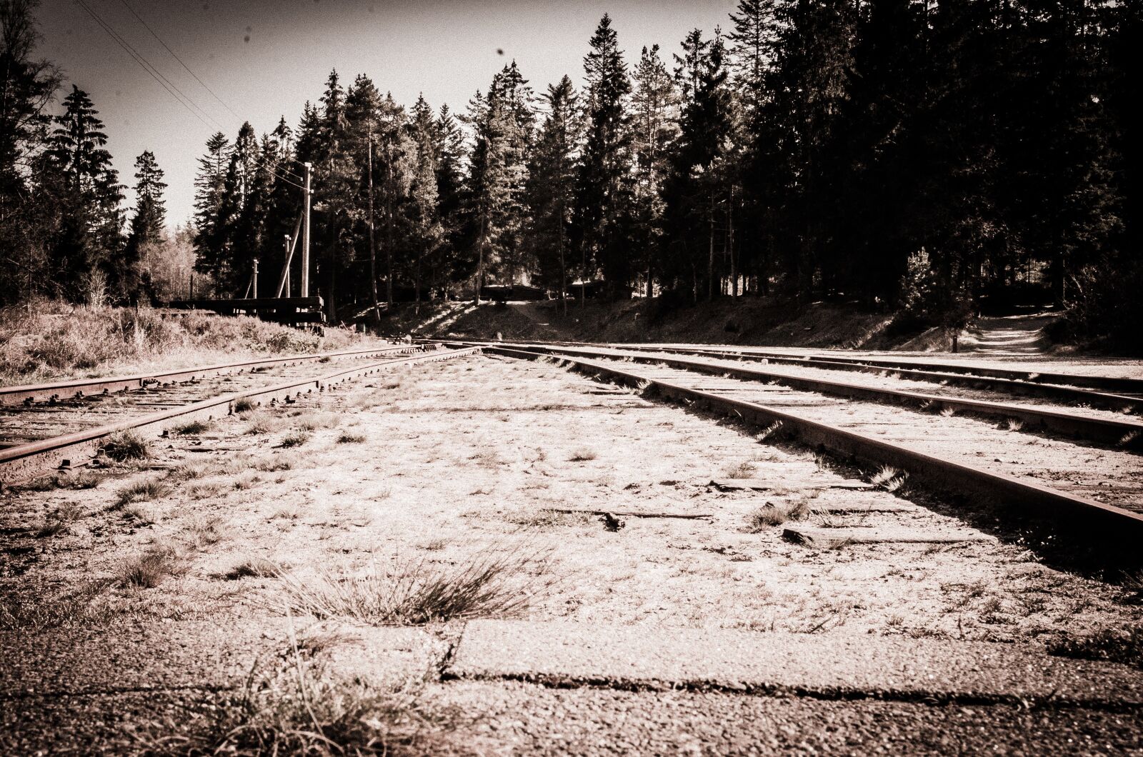 Nikon D7000 sample photo. Tracks, train, railway photography