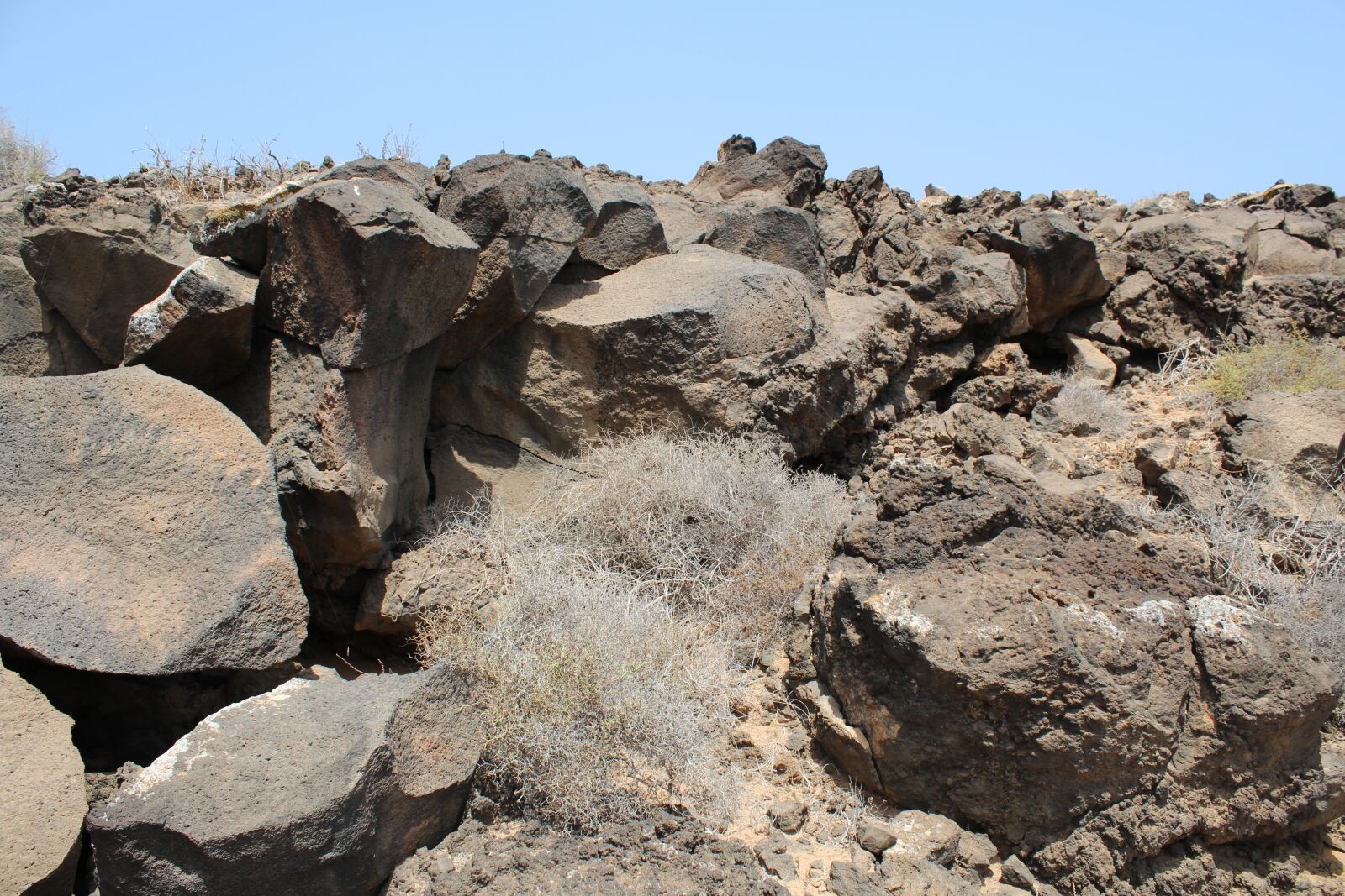 Canon EOS 600D (Rebel EOS T3i / EOS Kiss X5) sample photo. Rocks, lava, stone photography