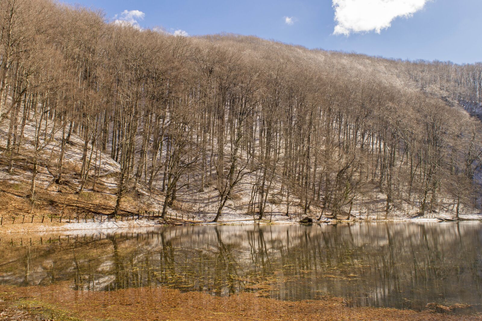 Nikon D3200 sample photo. Croatia, slavonia, nature photography