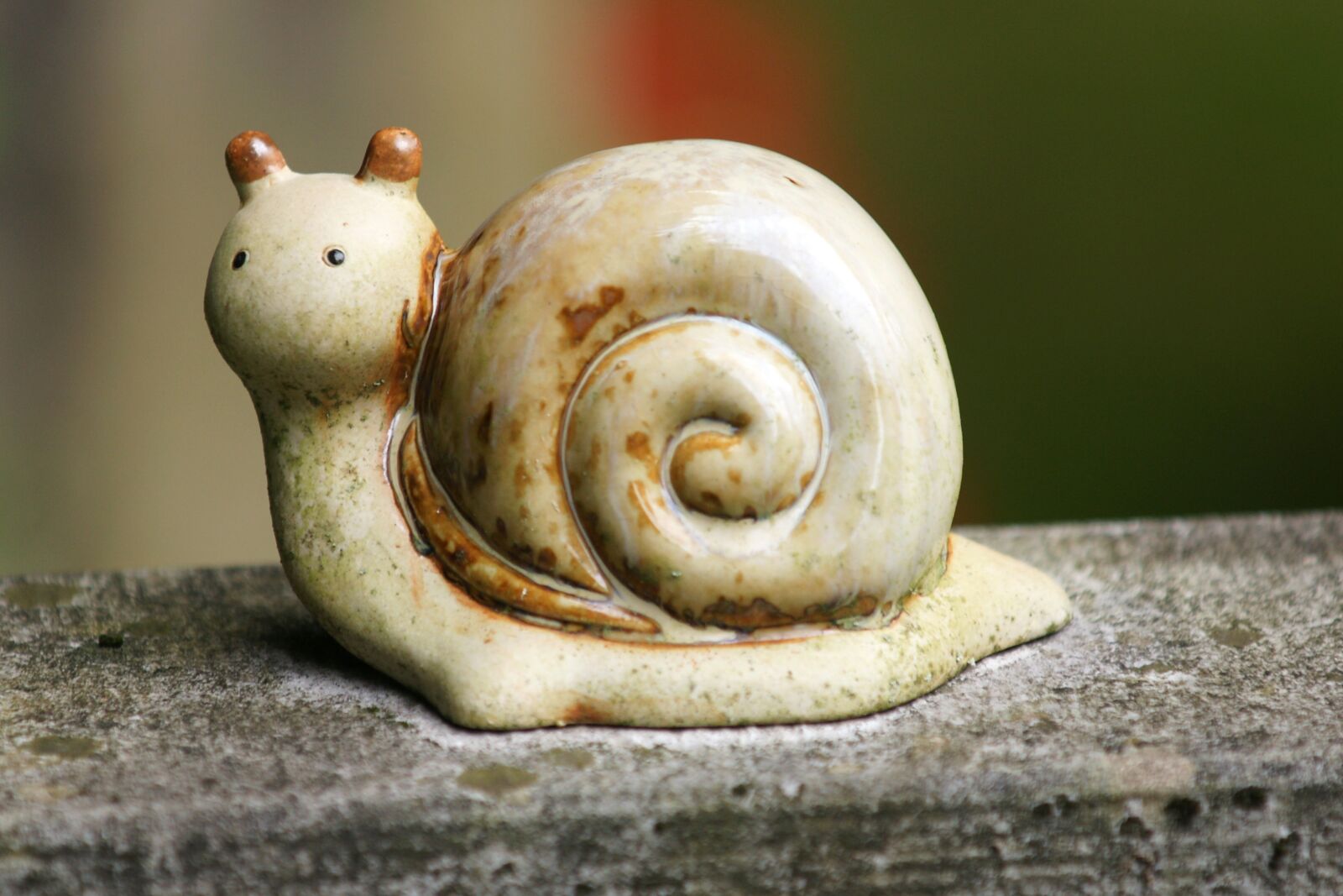 Sony Alpha DSLR-A700 sample photo. Snail, figure, shell photography