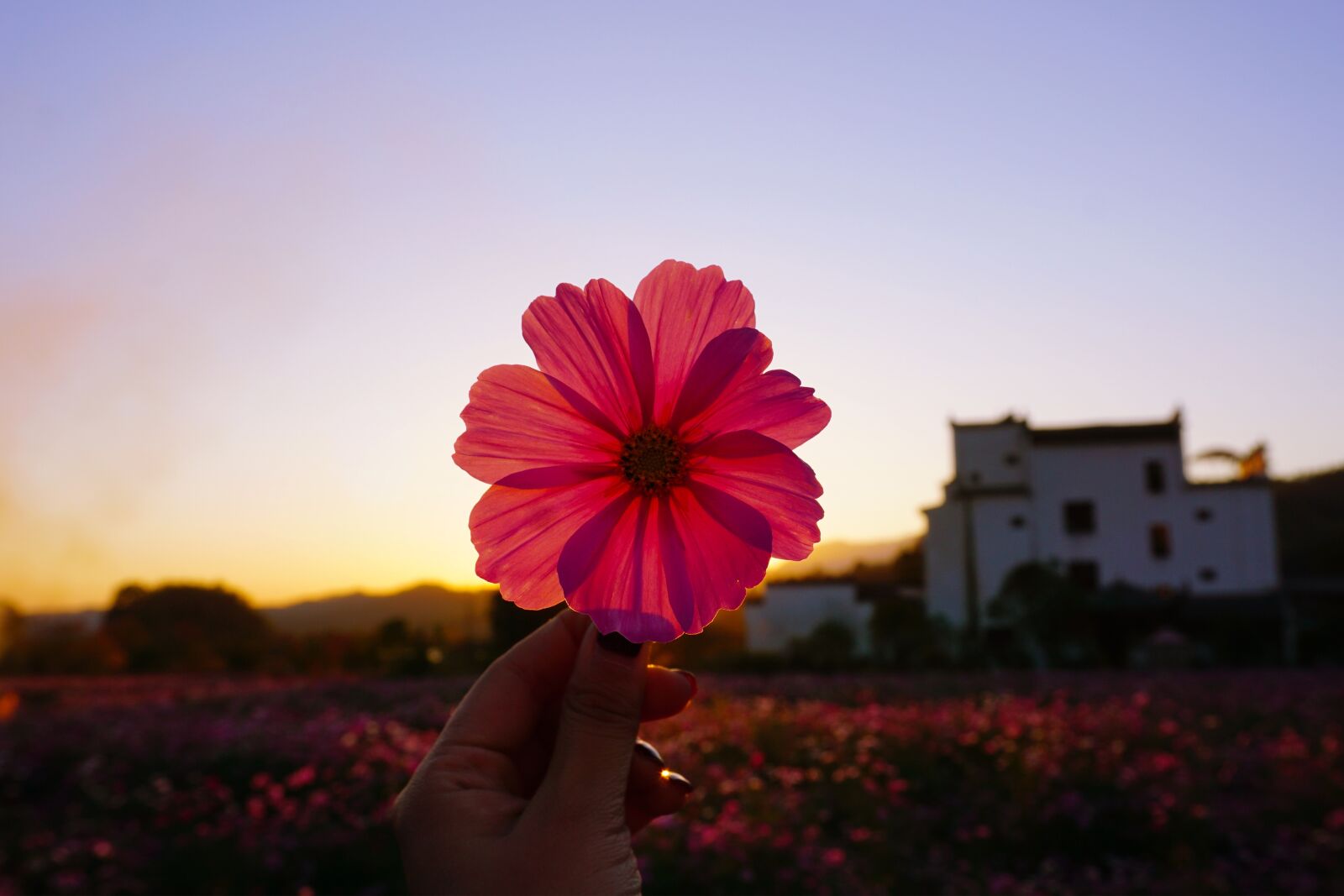 Sony E 16-50mm F3.5-5.6 PZ OSS sample photo. Hongcun village, sunset, grain photography