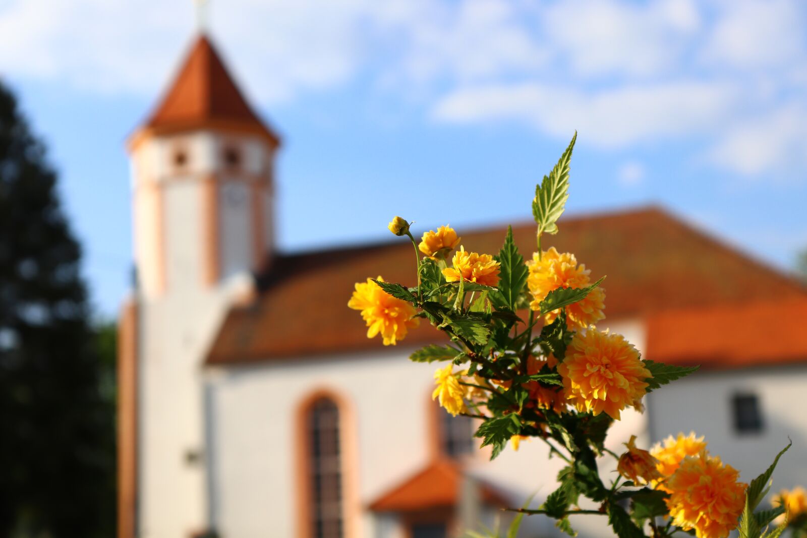 Canon EOS 200D (EOS Rebel SL2 / EOS Kiss X9) sample photo. Church, blossom, bloom photography