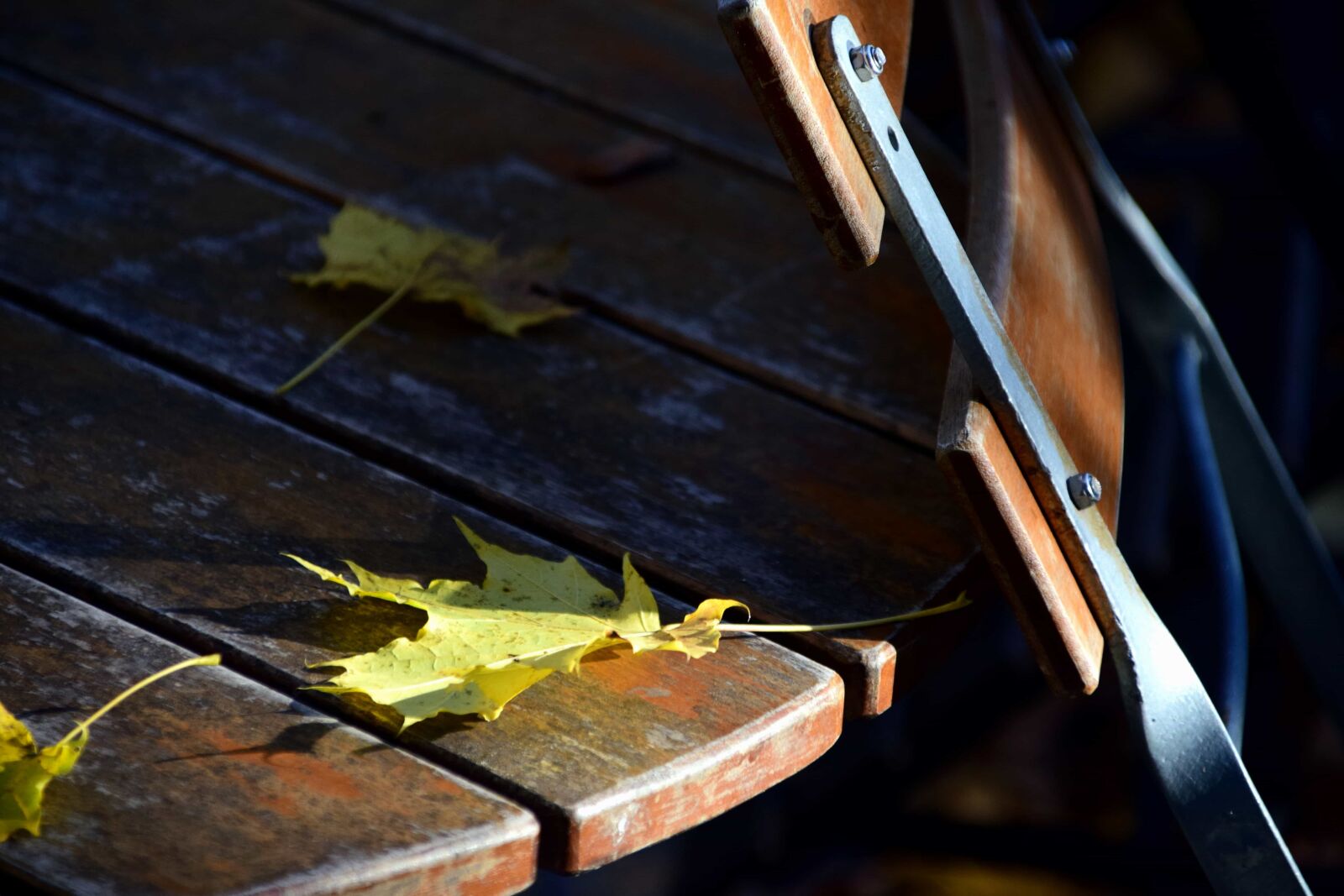 Nikon D3300 sample photo. Chair, table, leaf, autumn photography