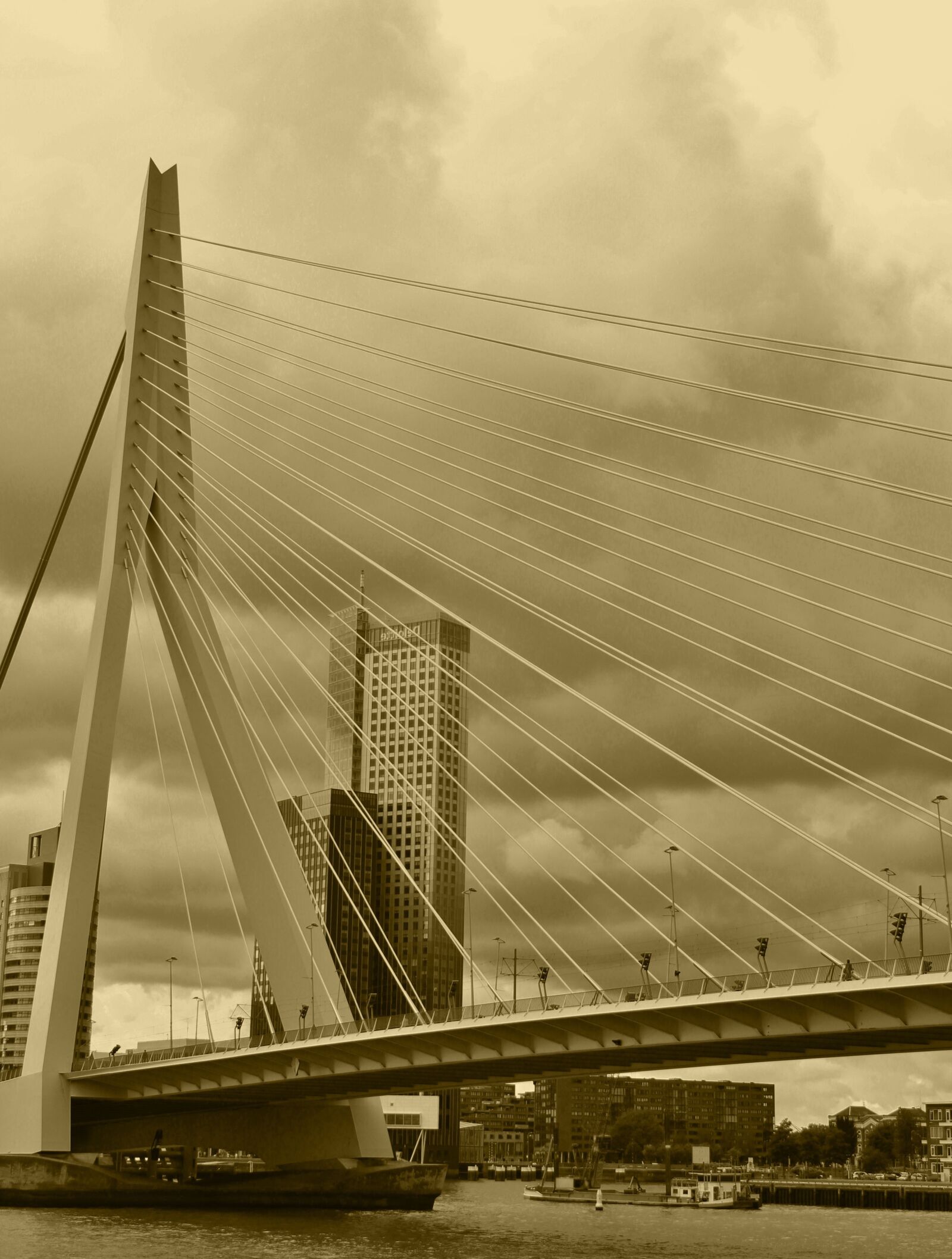 Canon EOS 550D (EOS Rebel T2i / EOS Kiss X4) sample photo. Erasmus bridge, transition, mystical photography