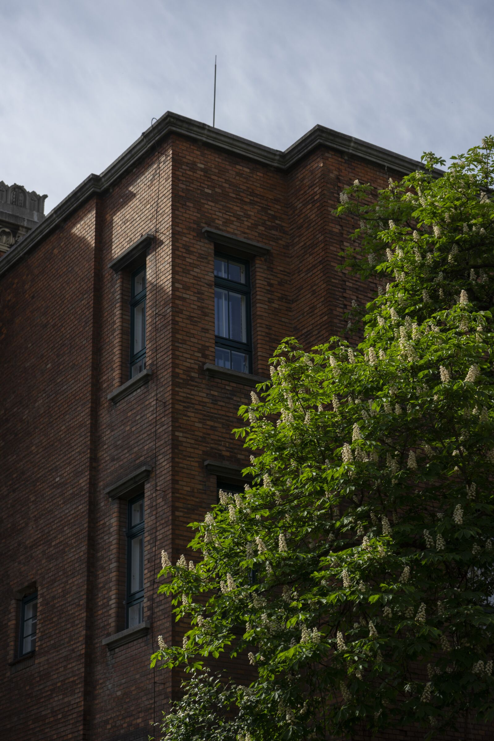 Sony a7 II sample photo. Brick, building, window photography