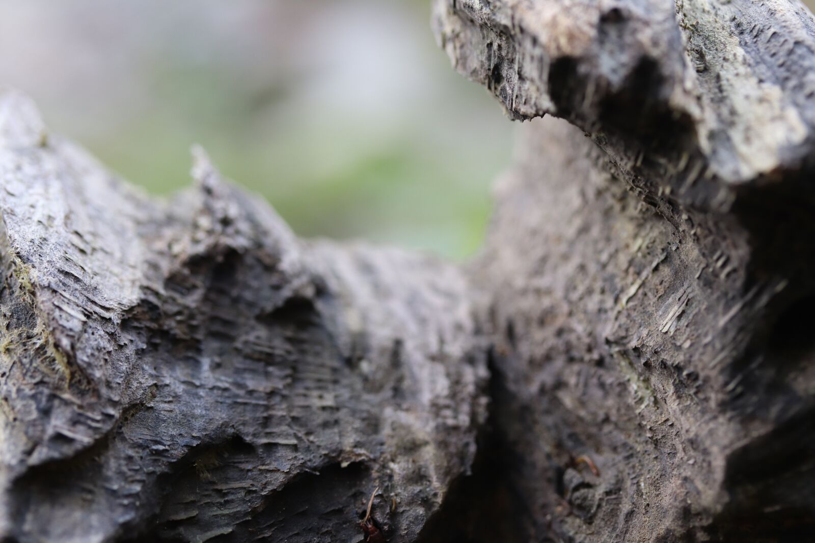 Canon EOS 77D (EOS 9000D / EOS 770D) + Canon EF-S 60mm F2.8 Macro USM sample photo. Wood, sculpture, art object photography
