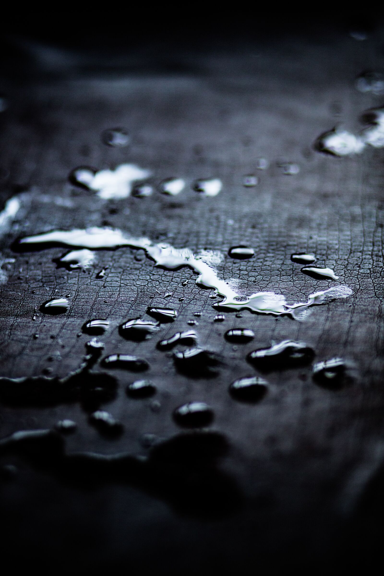 Canon EF 85mm F1.8 USM sample photo. Water, water drops, hd photography