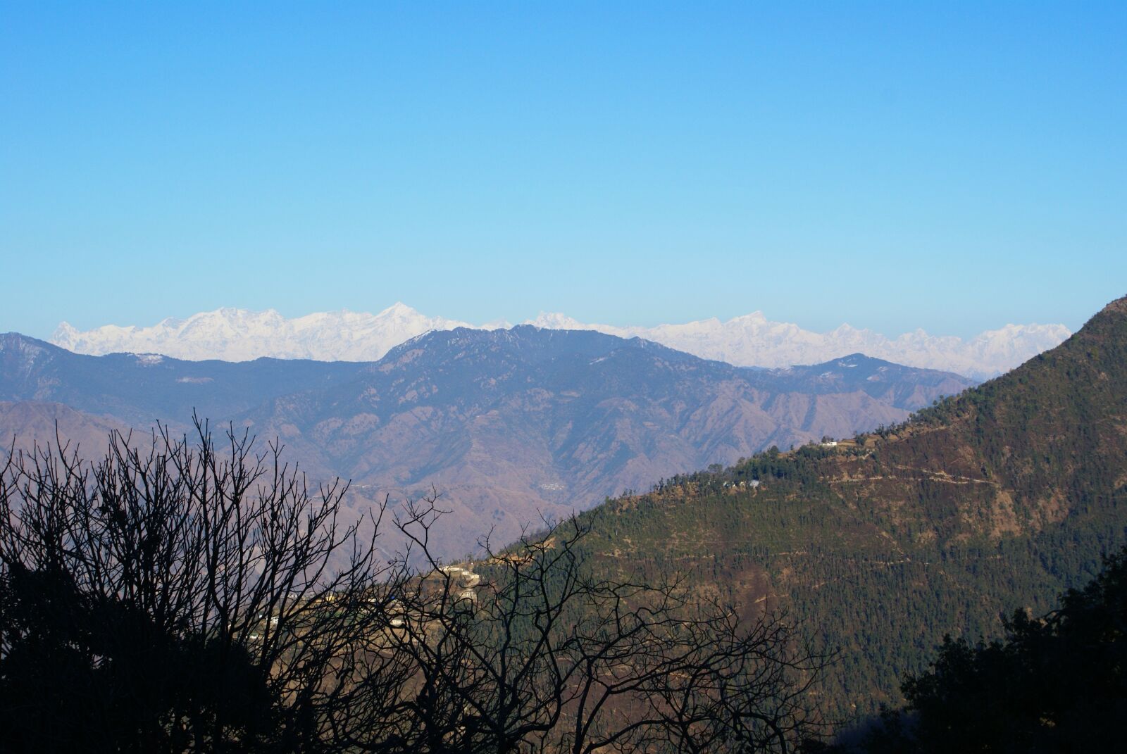 Sony Alpha DSLR-A100 sample photo. Background, nature, places photography