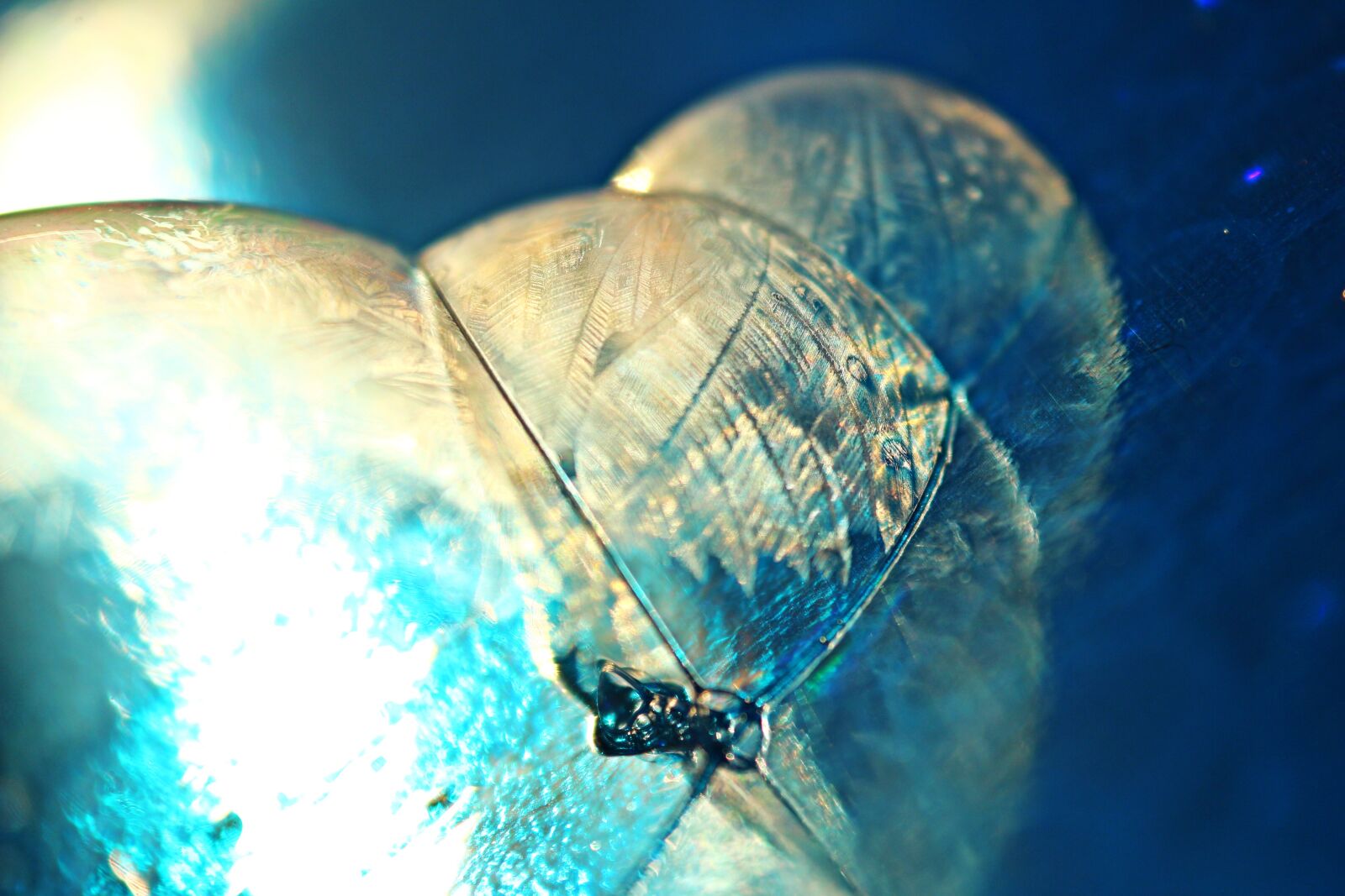 Canon EOS 100D (EOS Rebel SL1 / EOS Kiss X7) sample photo. Soap bubble, eiskristalle, frost photography