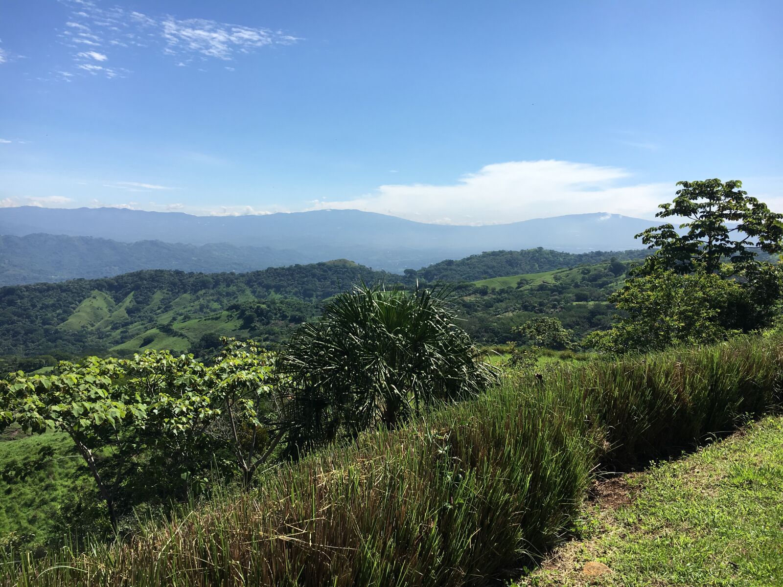 iPhone 6s back camera 4.15mm f/2.2 sample photo. Costa rica, finca sobre photography