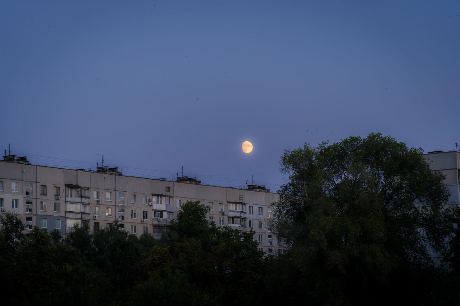 Sony a7 III + Sony FE 24-105mm F4 G OSS sample photo