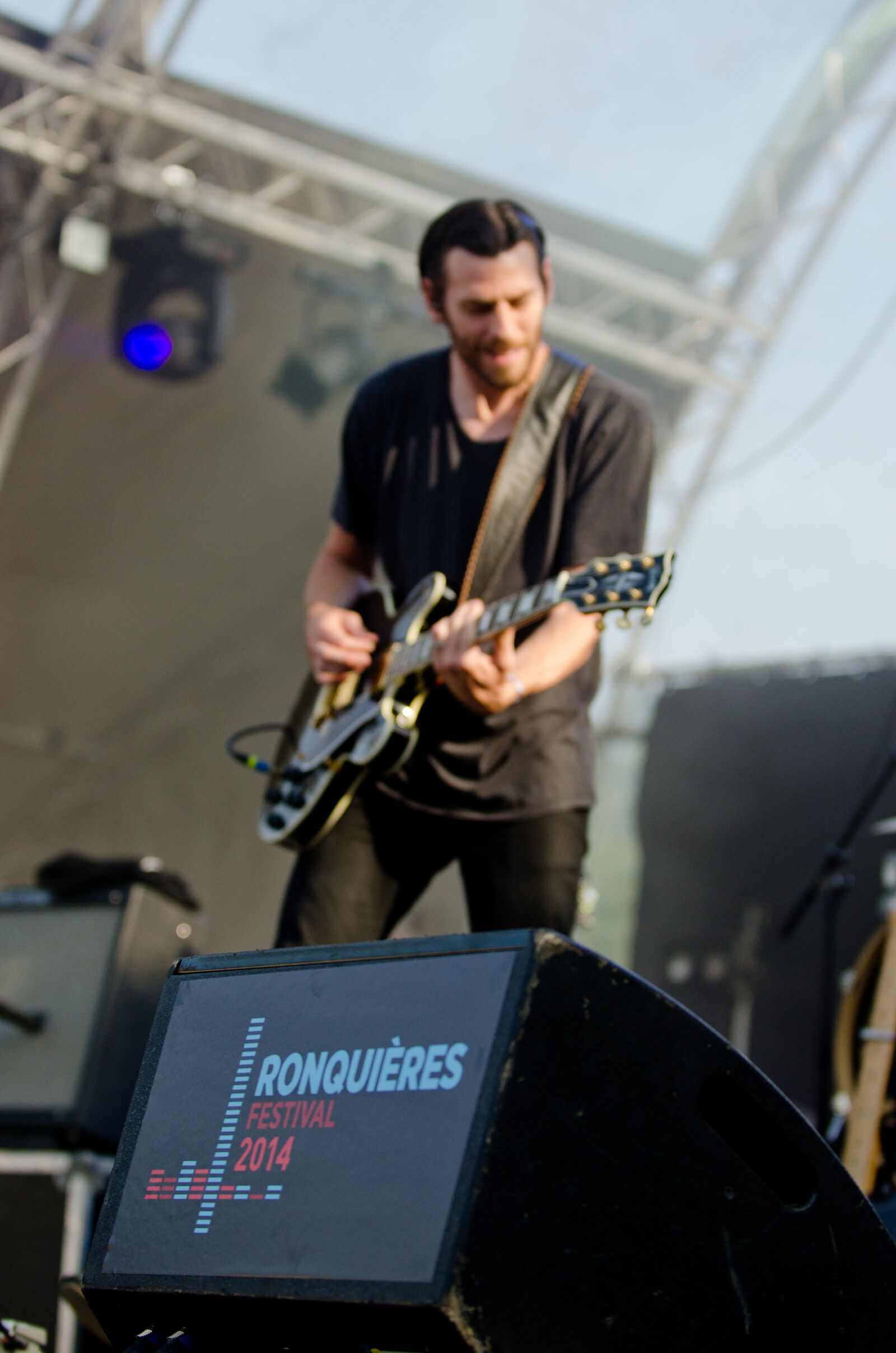 Nikon D7000 sample photo. Birdpen, ronquieres, festival, 2014 photography