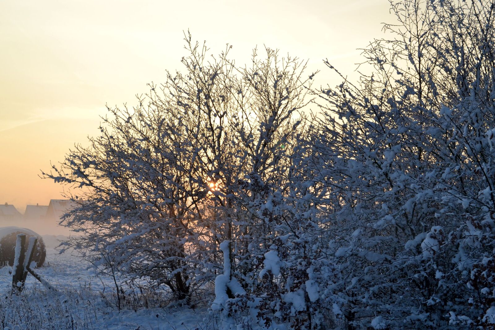 Nikon D3100 sample photo. Winter, cold, snow photography
