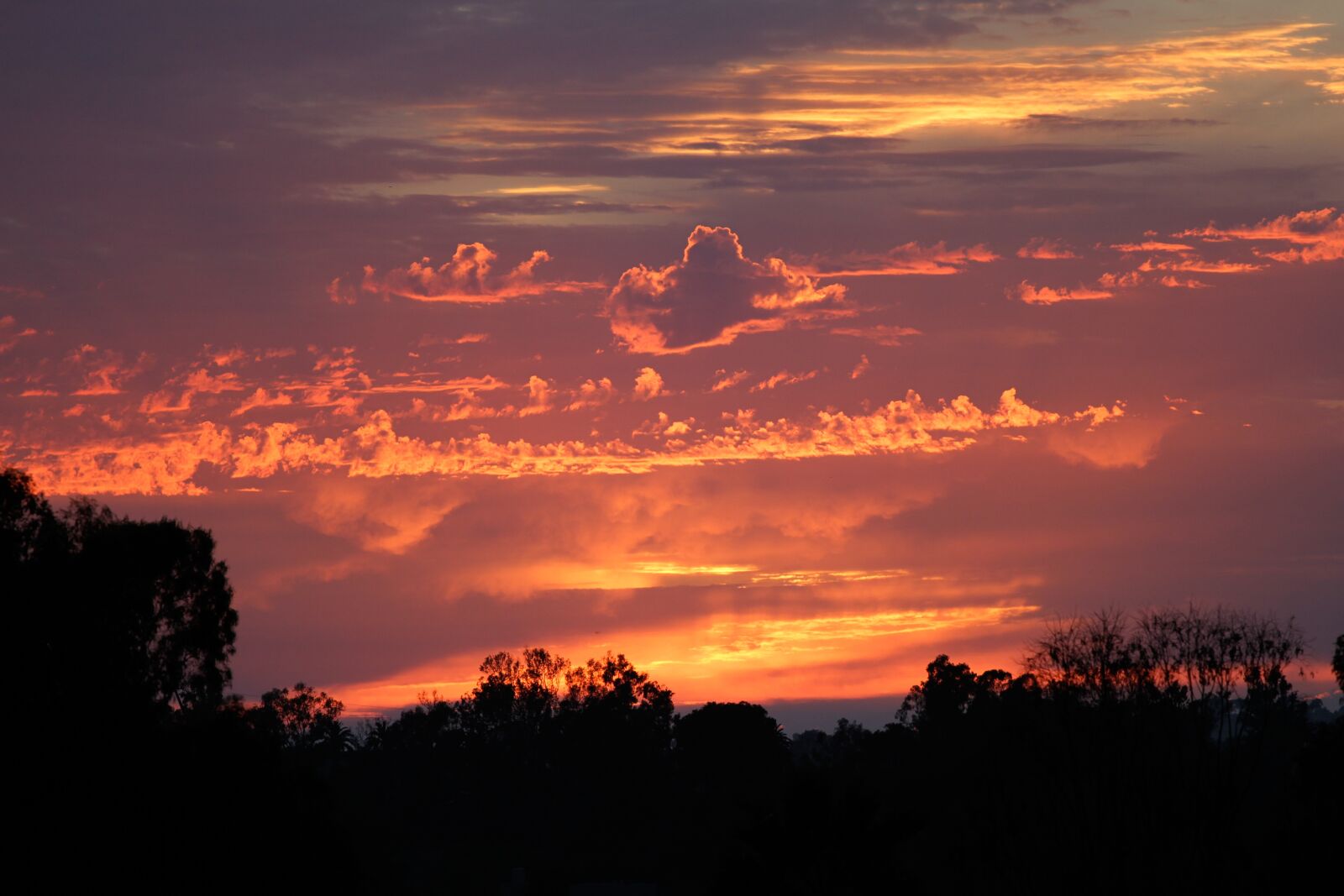 Canon EOS 7D + Canon EF 70-200mm F4L USM sample photo. Sunset, sky, fire photography