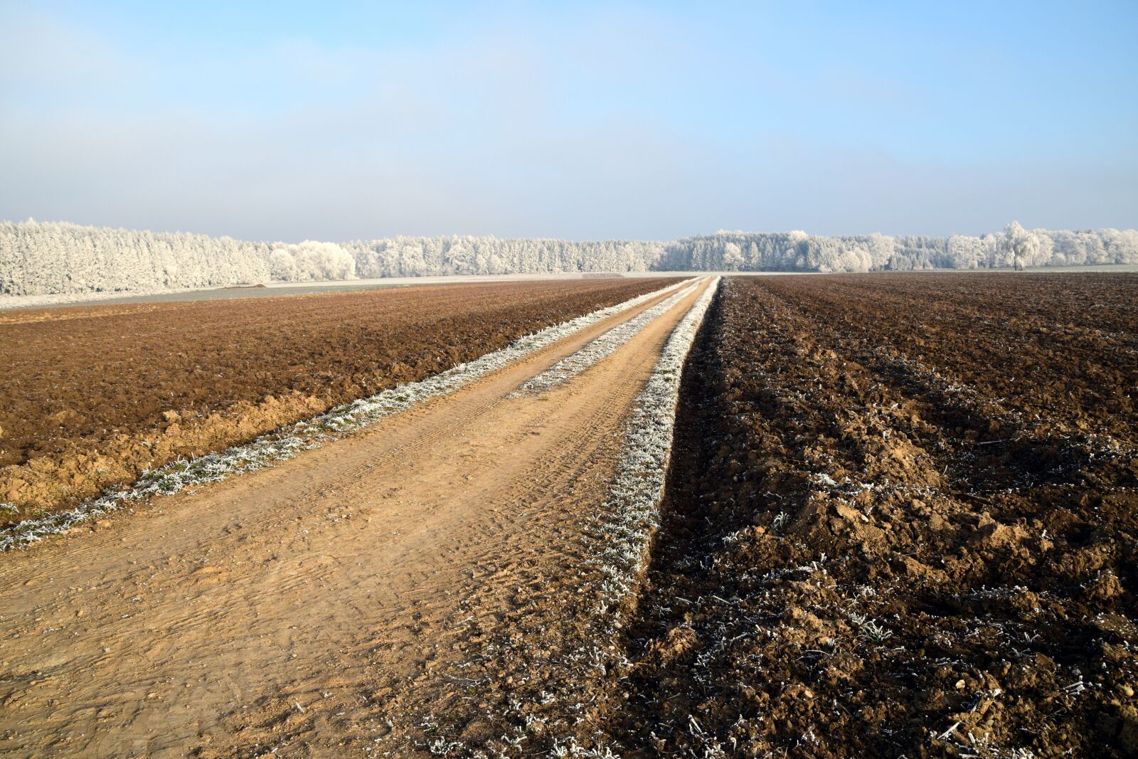Nikon D3300 sample photo. Away, lane, landscape photography