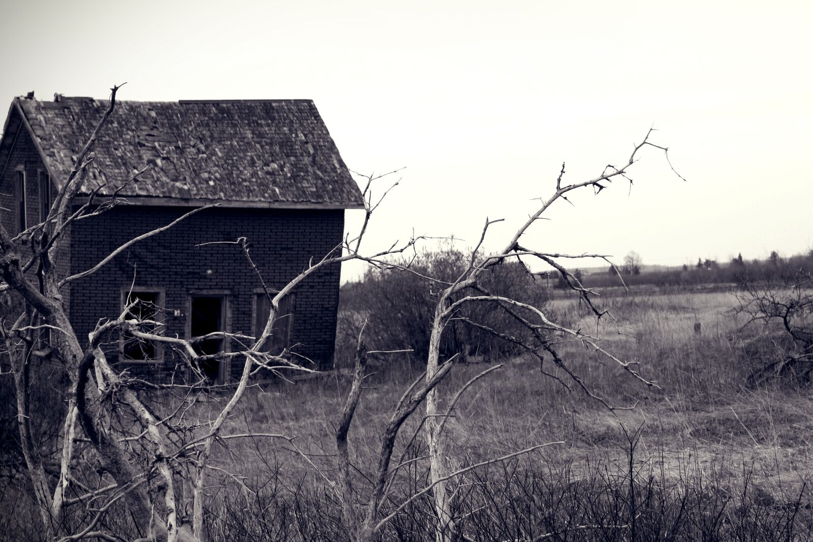 Canon EOS 450D (EOS Rebel XSi / EOS Kiss X2) sample photo. Creepy, haunted, evil photography