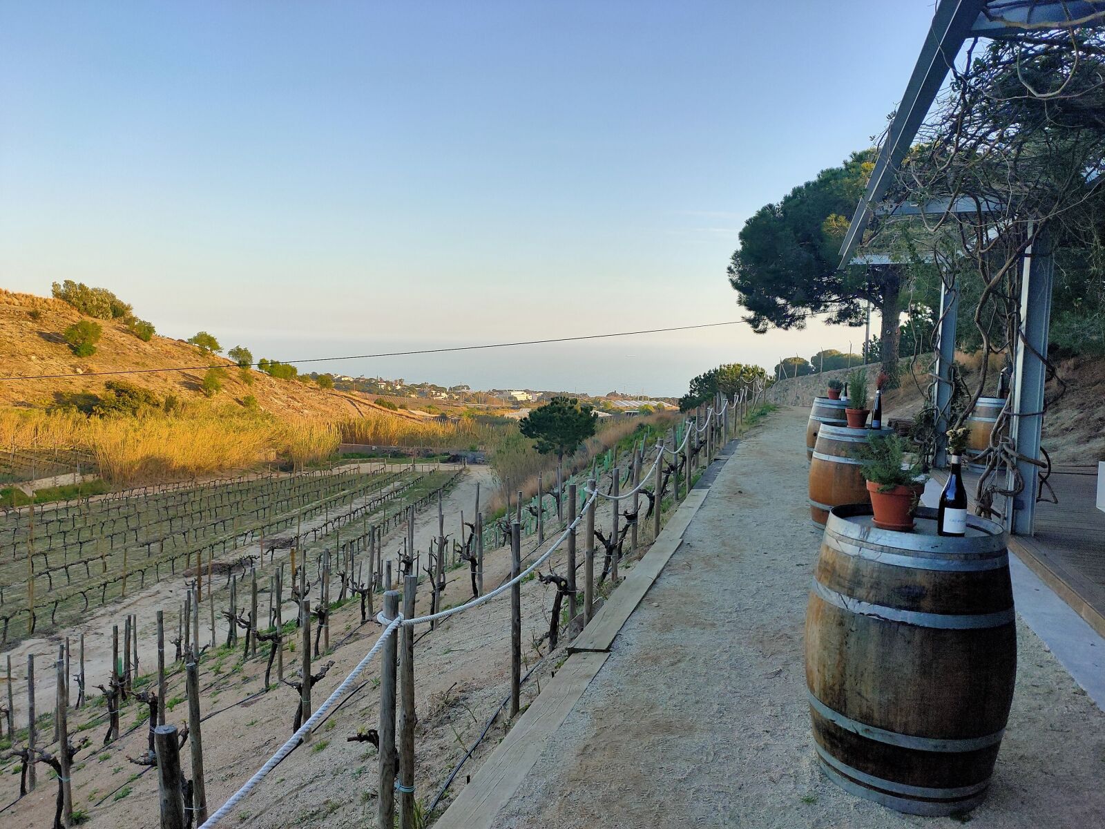 Realme 5 PRO sample photo. Cellar, casks, winery photography