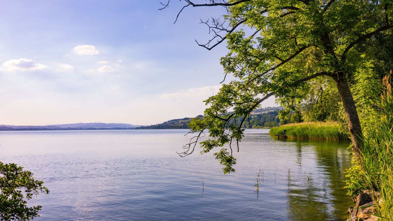 Sony Cyber-shot DSC-RX10 III sample photo. Lake, flare, water photography