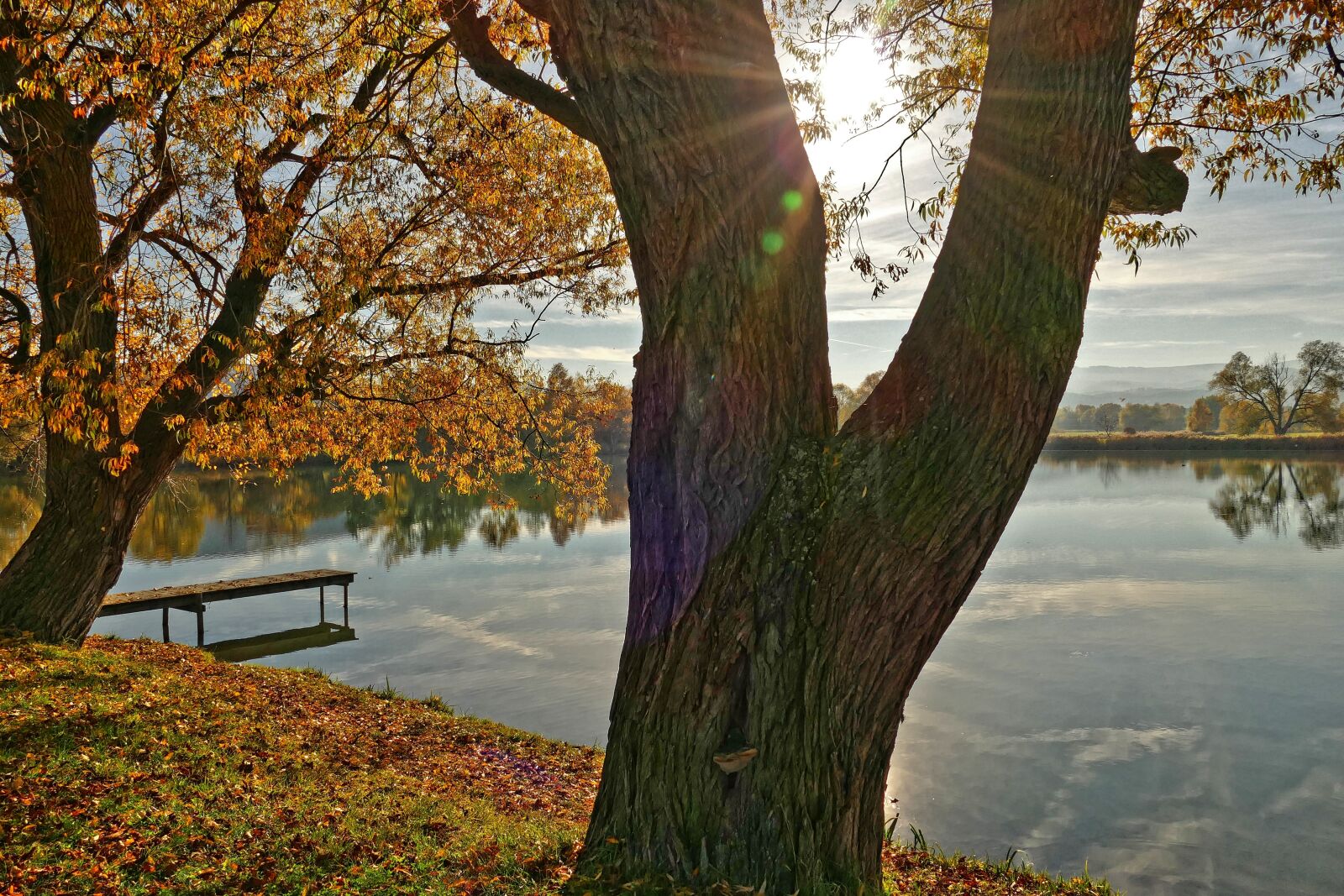 Panasonic Lumix DMC-FZ1000 sample photo. Autumn mood, mill pond photography
