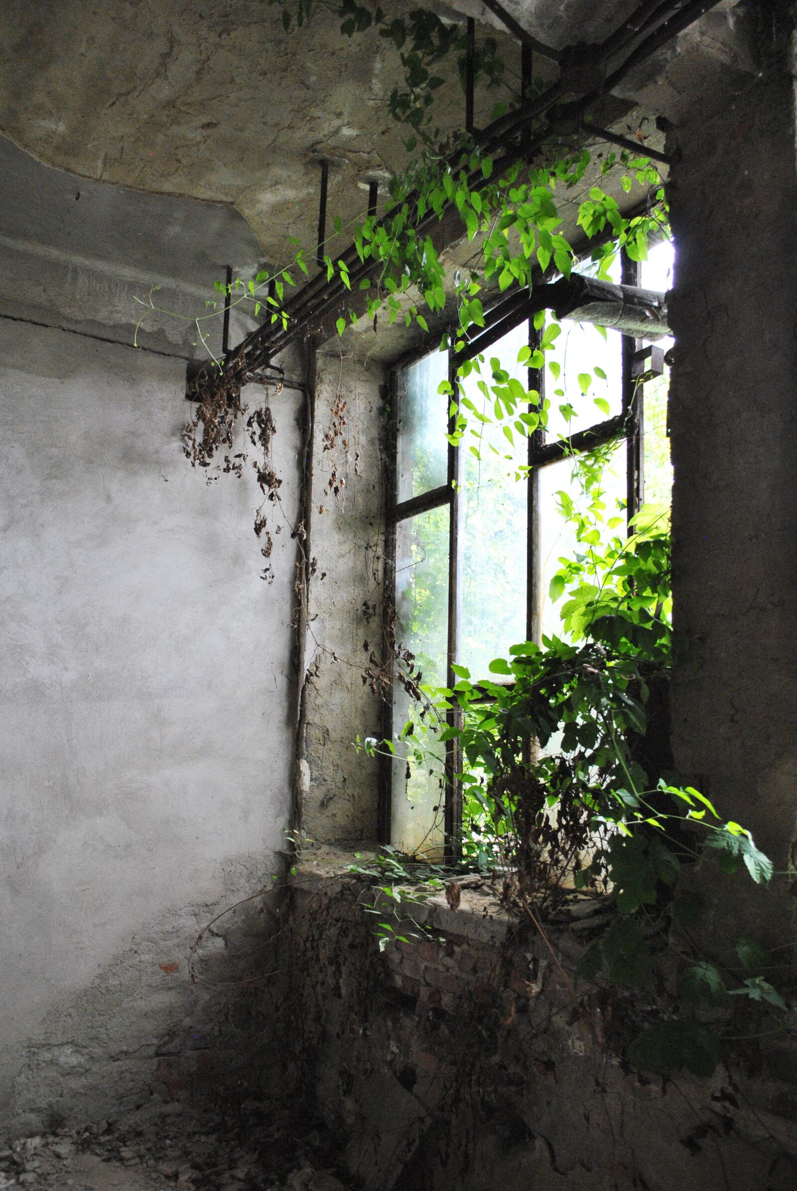 Nikon D3000 sample photo. Building, urbex, fracture photography