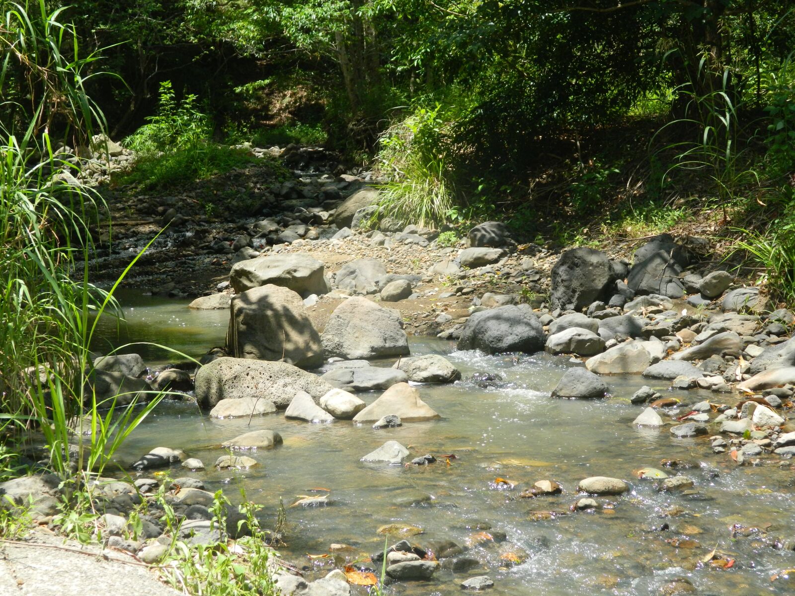 Nikon Coolpix L120 sample photo. Nature, river, pebbles photography