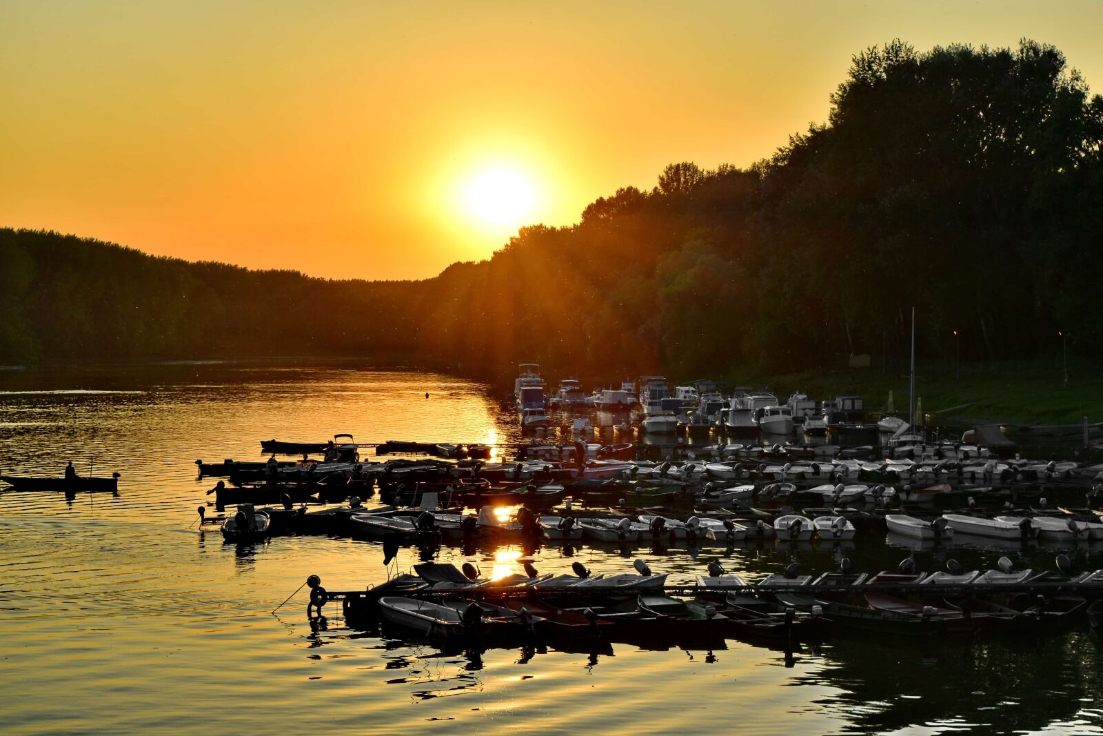 Nikon D5500 sample photo. Boats, river, sunrise, sunshine photography