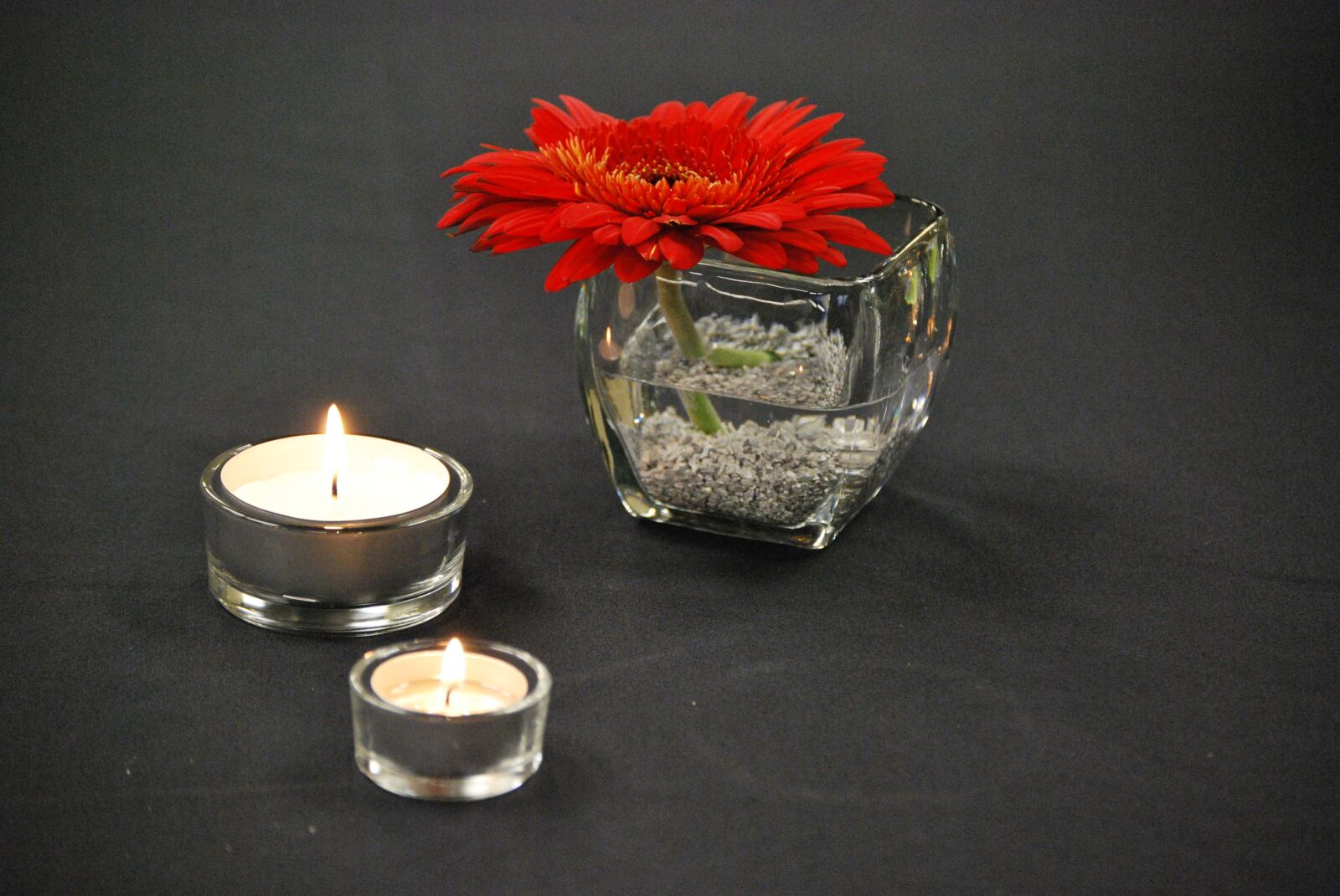 Nikon D60 sample photo. Flower, red, candle photography